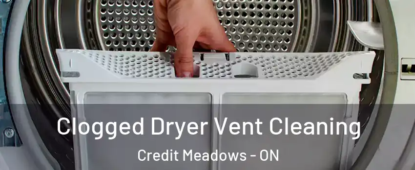  Clogged Dryer Vent Cleaning Credit Meadows - ON
