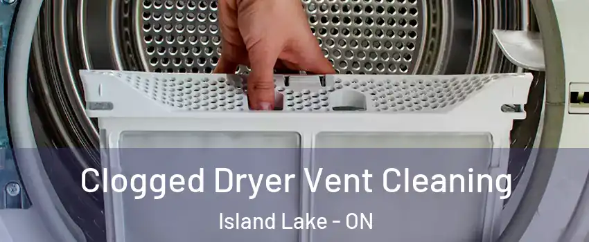  Clogged Dryer Vent Cleaning Island Lake - ON