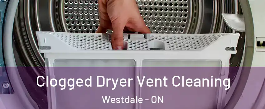  Clogged Dryer Vent Cleaning Westdale - ON