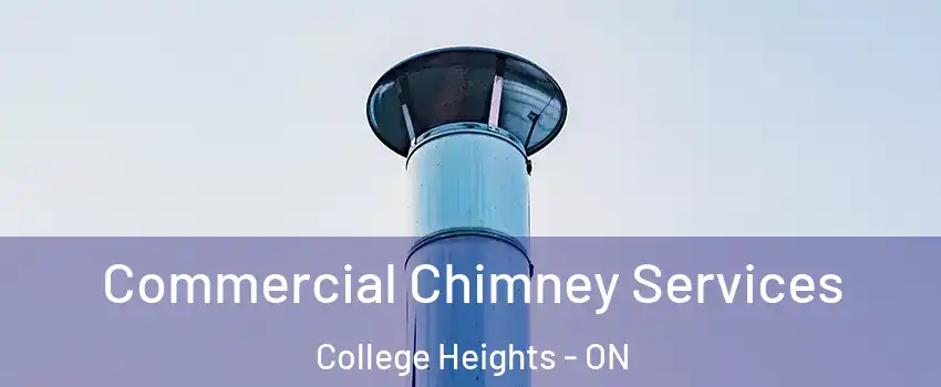  Commercial Chimney Services College Heights - ON