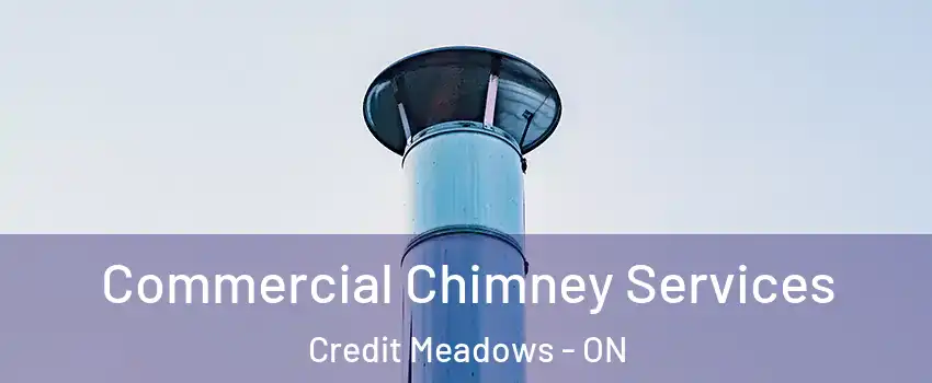  Commercial Chimney Services Credit Meadows - ON