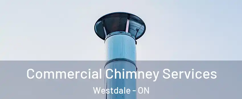  Commercial Chimney Services Westdale - ON