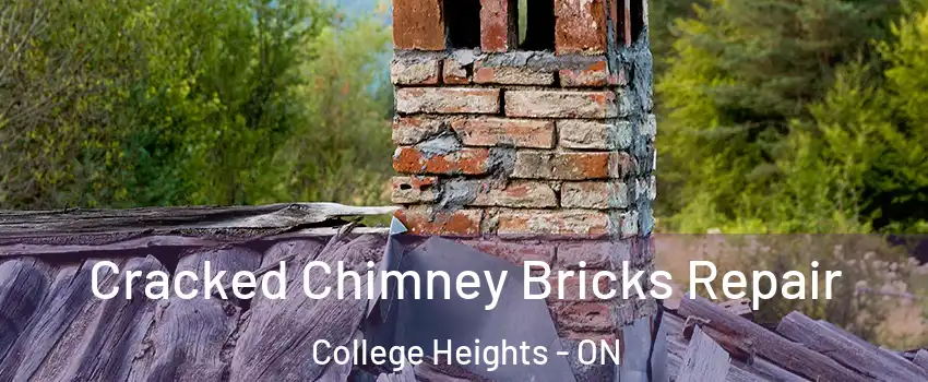  Cracked Chimney Bricks Repair College Heights - ON