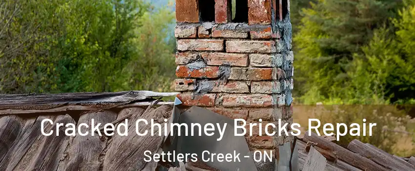  Cracked Chimney Bricks Repair Settlers Creek - ON