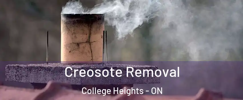  Creosote Removal College Heights - ON