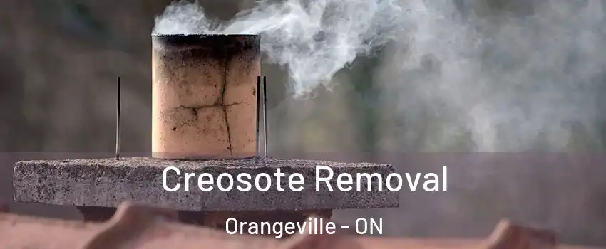  Creosote Removal Orangeville - ON