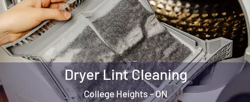  Dryer Lint Cleaning College Heights - ON