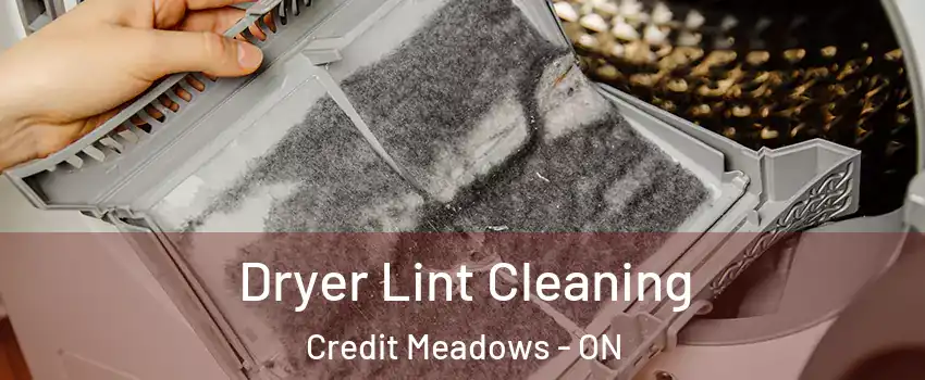  Dryer Lint Cleaning Credit Meadows - ON