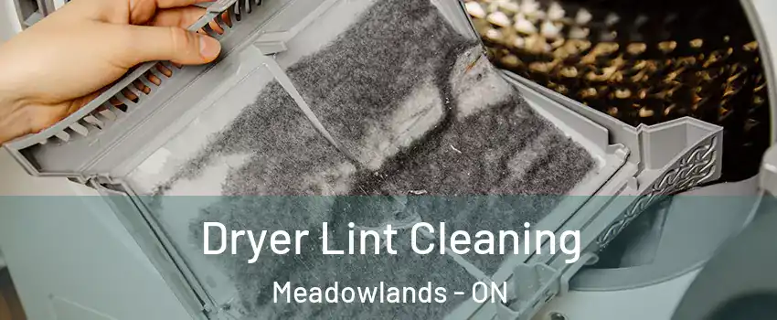  Dryer Lint Cleaning Meadowlands - ON