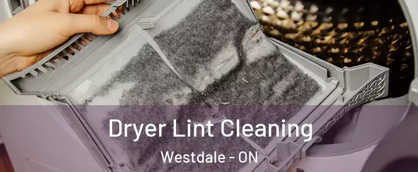  Dryer Lint Cleaning Westdale - ON