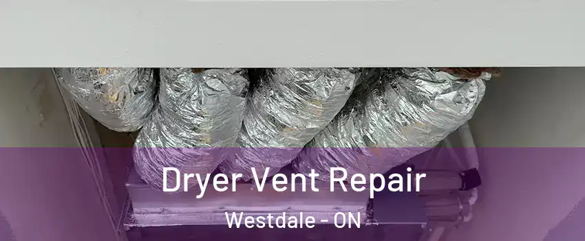  Dryer Vent Repair Westdale - ON