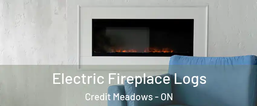  Electric Fireplace Logs Credit Meadows - ON