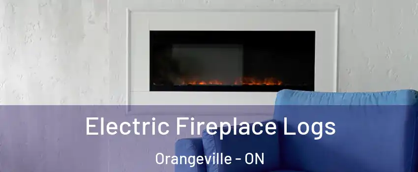  Electric Fireplace Logs Orangeville - ON
