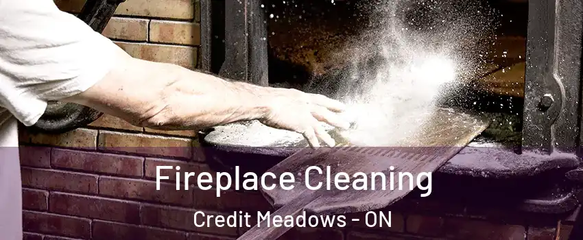  Fireplace Cleaning Credit Meadows - ON