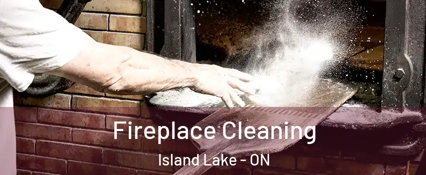  Fireplace Cleaning Island Lake - ON