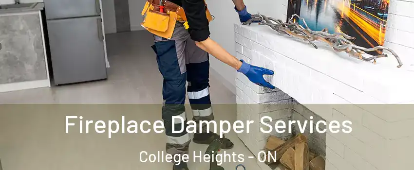 Fireplace Damper Services College Heights - ON