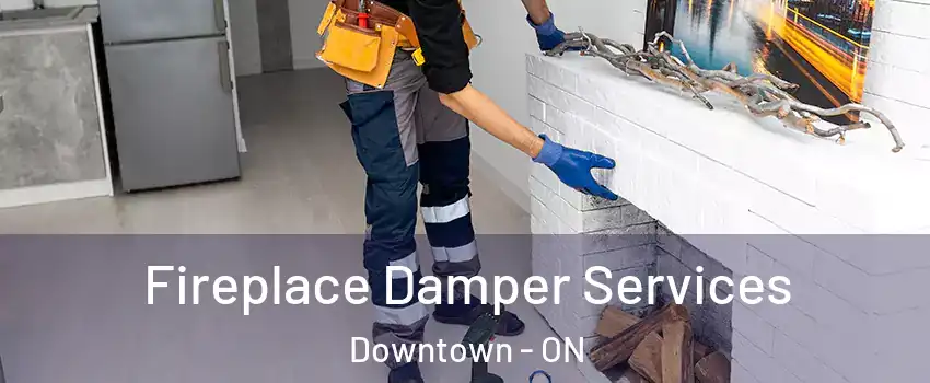  Fireplace Damper Services Downtown - ON