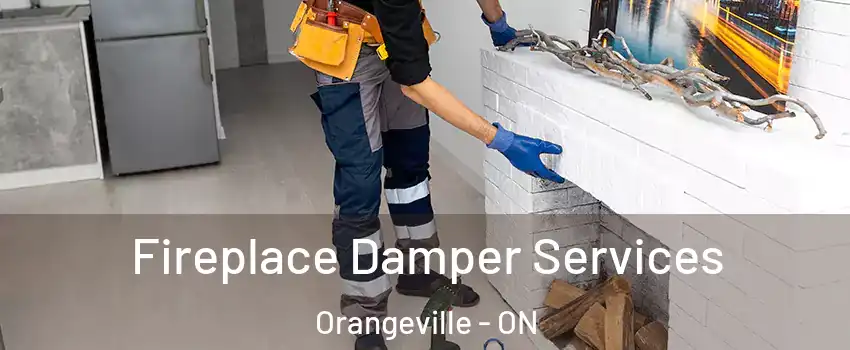 Fireplace Damper Services Orangeville - ON