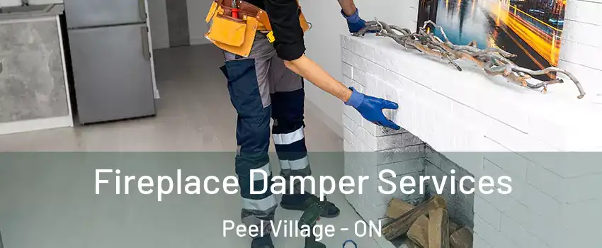  Fireplace Damper Services Peel Village - ON
