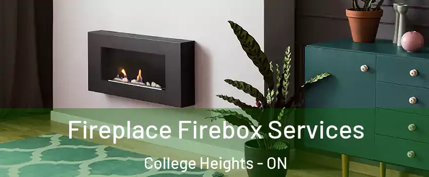  Fireplace Firebox Services College Heights - ON