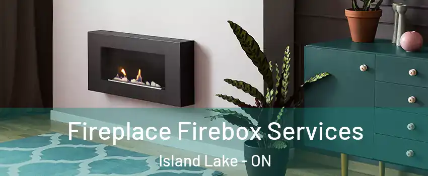  Fireplace Firebox Services Island Lake - ON
