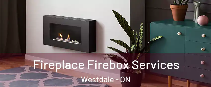  Fireplace Firebox Services Westdale - ON