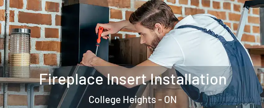 Fireplace Insert Installation College Heights - ON