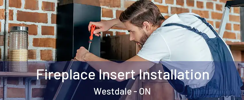  Fireplace Insert Installation Westdale - ON