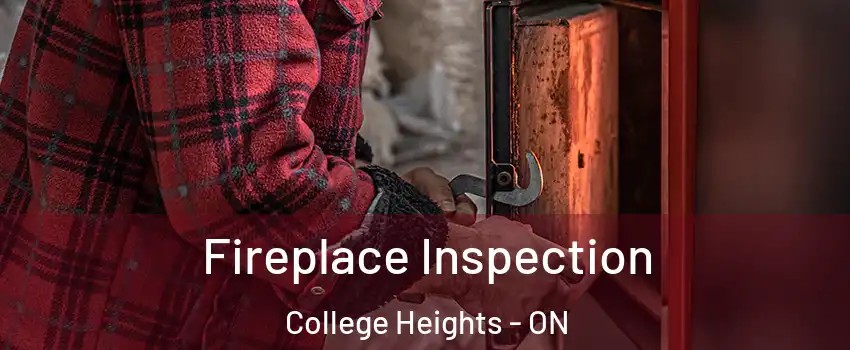  Fireplace Inspection College Heights - ON