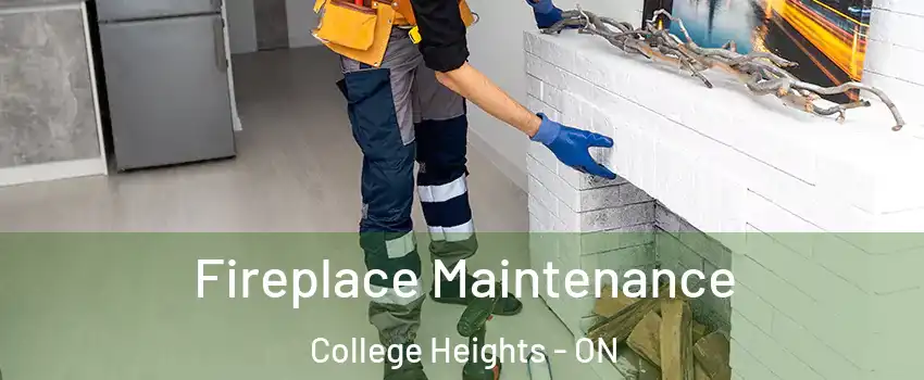  Fireplace Maintenance College Heights - ON
