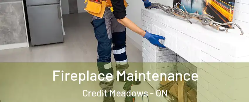 Fireplace Maintenance Credit Meadows - ON