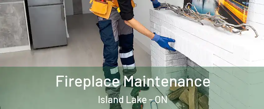  Fireplace Maintenance Island Lake - ON