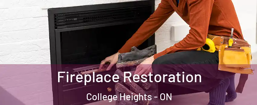  Fireplace Restoration College Heights - ON