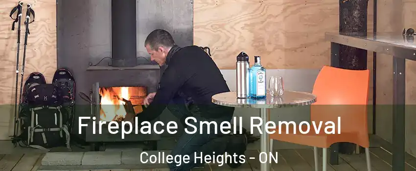  Fireplace Smell Removal College Heights - ON