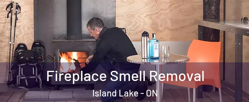  Fireplace Smell Removal Island Lake - ON