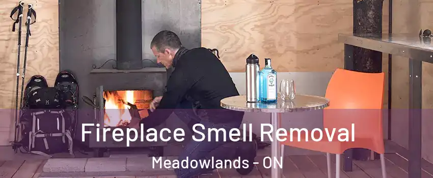 Fireplace Smell Removal Meadowlands - ON