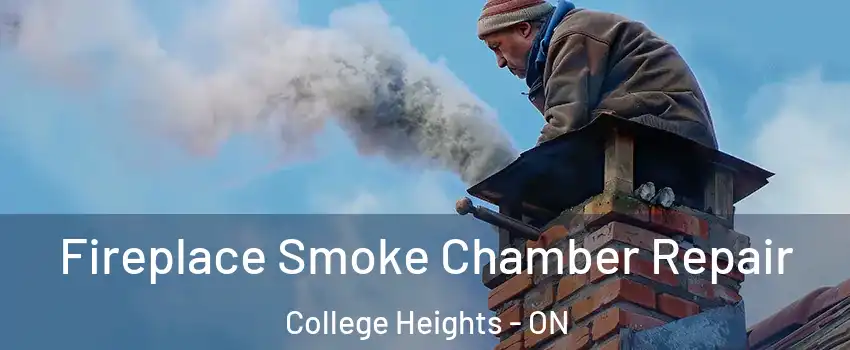  Fireplace Smoke Chamber Repair College Heights - ON