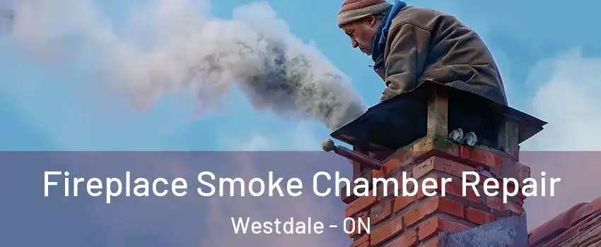  Fireplace Smoke Chamber Repair Westdale - ON