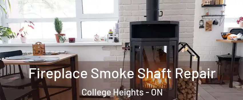  Fireplace Smoke Shaft Repair College Heights - ON