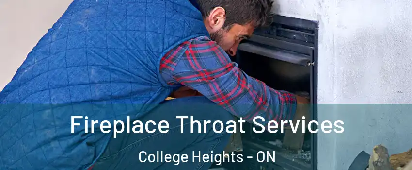  Fireplace Throat Services College Heights - ON