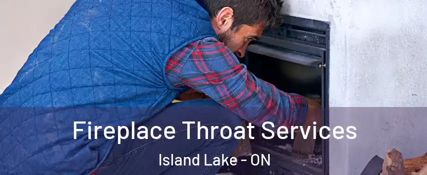  Fireplace Throat Services Island Lake - ON