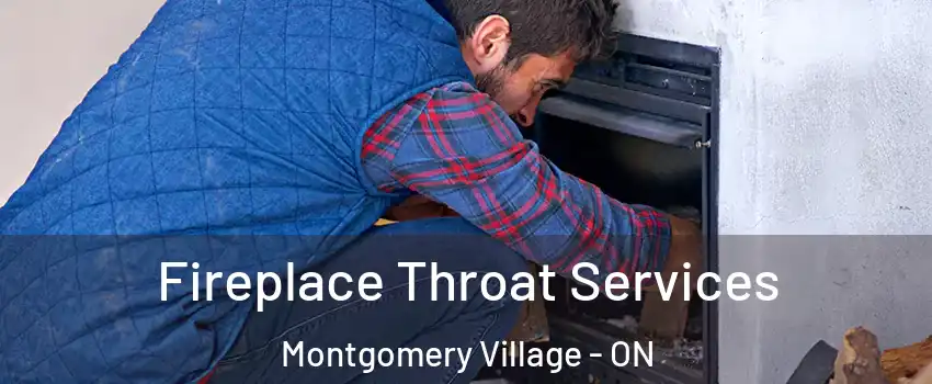  Fireplace Throat Services Montgomery Village - ON