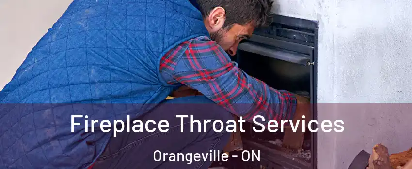  Fireplace Throat Services Orangeville - ON
