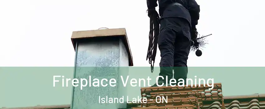  Fireplace Vent Cleaning Island Lake - ON