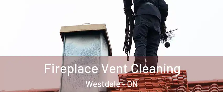  Fireplace Vent Cleaning Westdale - ON