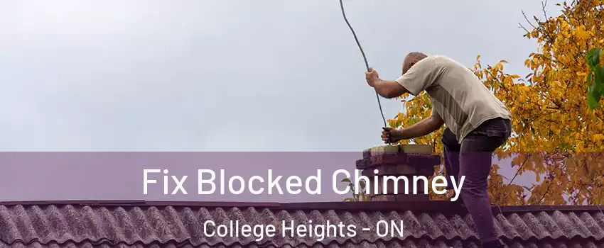  Fix Blocked Chimney College Heights - ON