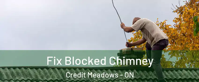  Fix Blocked Chimney Credit Meadows - ON