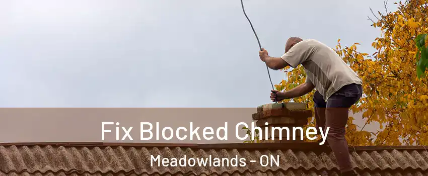  Fix Blocked Chimney Meadowlands - ON