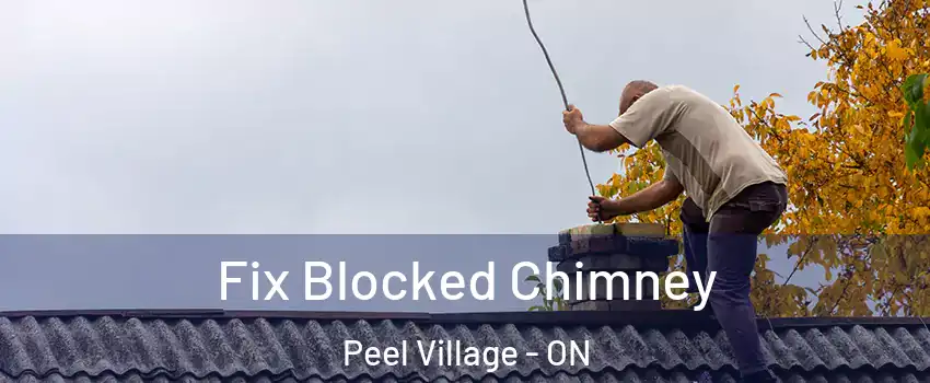  Fix Blocked Chimney Peel Village - ON