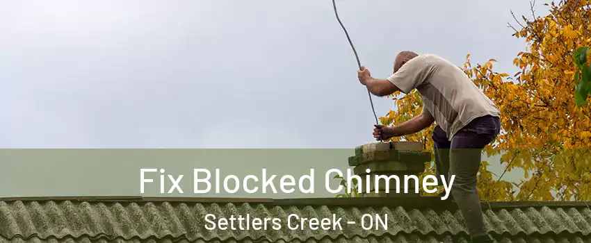  Fix Blocked Chimney Settlers Creek - ON